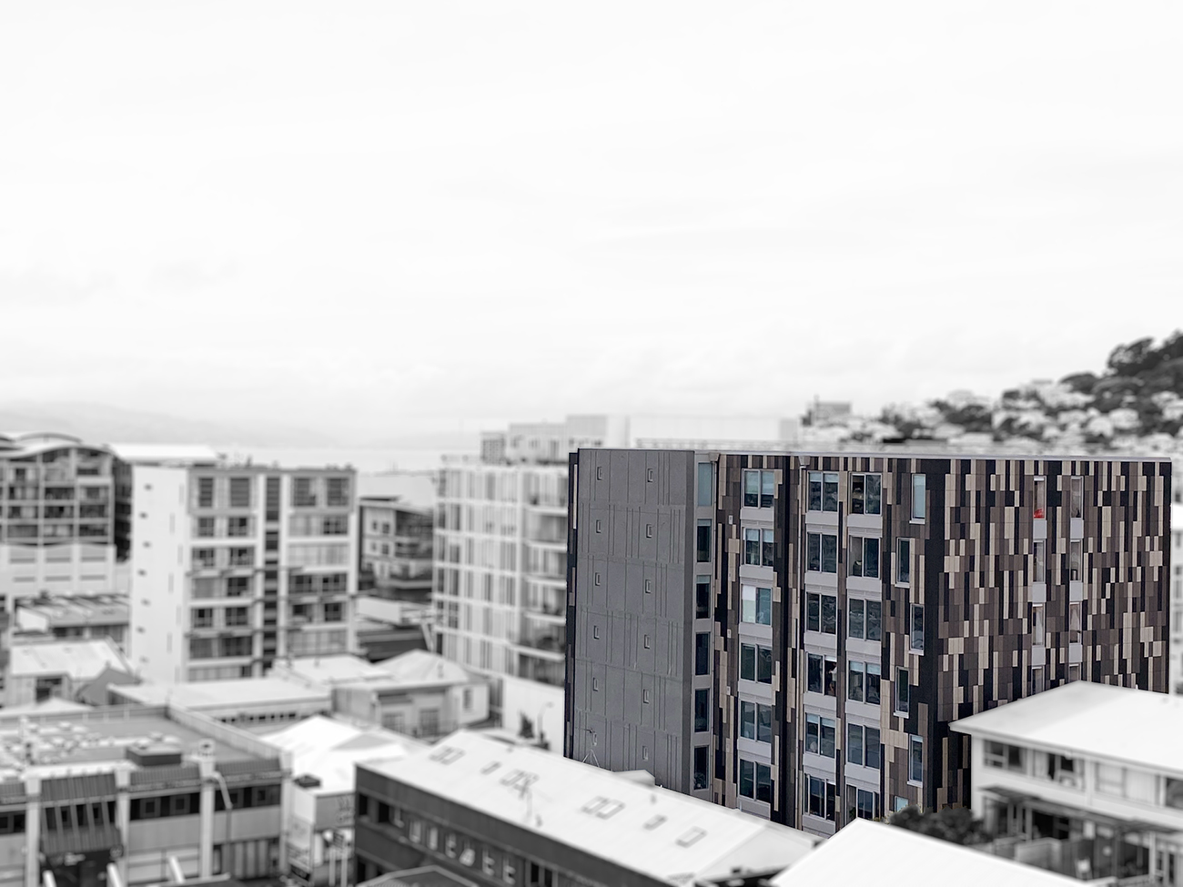 Te Aro 的 Habitat Apartments 公寓项目