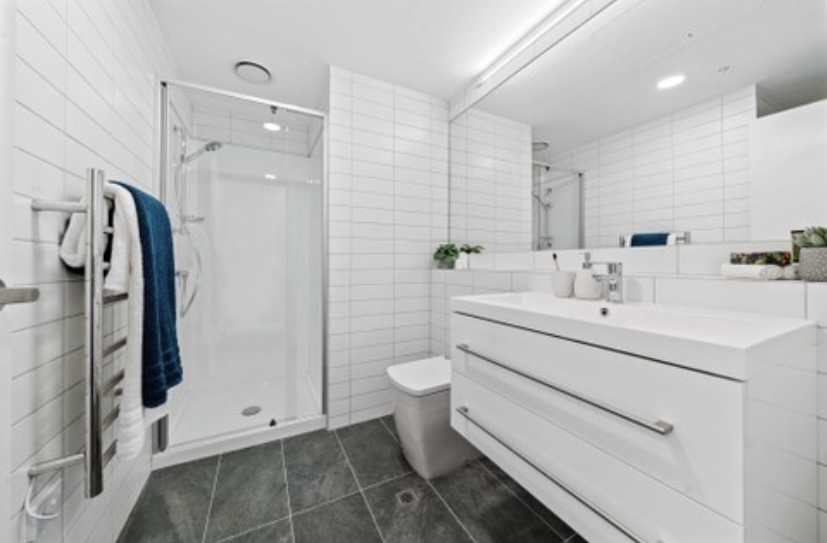 Te Aro 的 Habitat Apartments 公寓项目