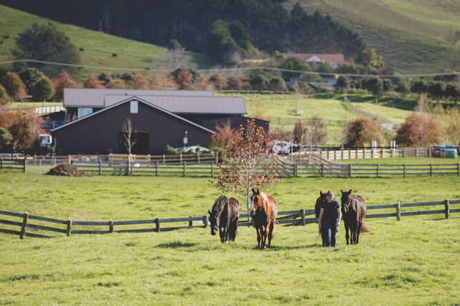 Northridge Equestrian Stables Project