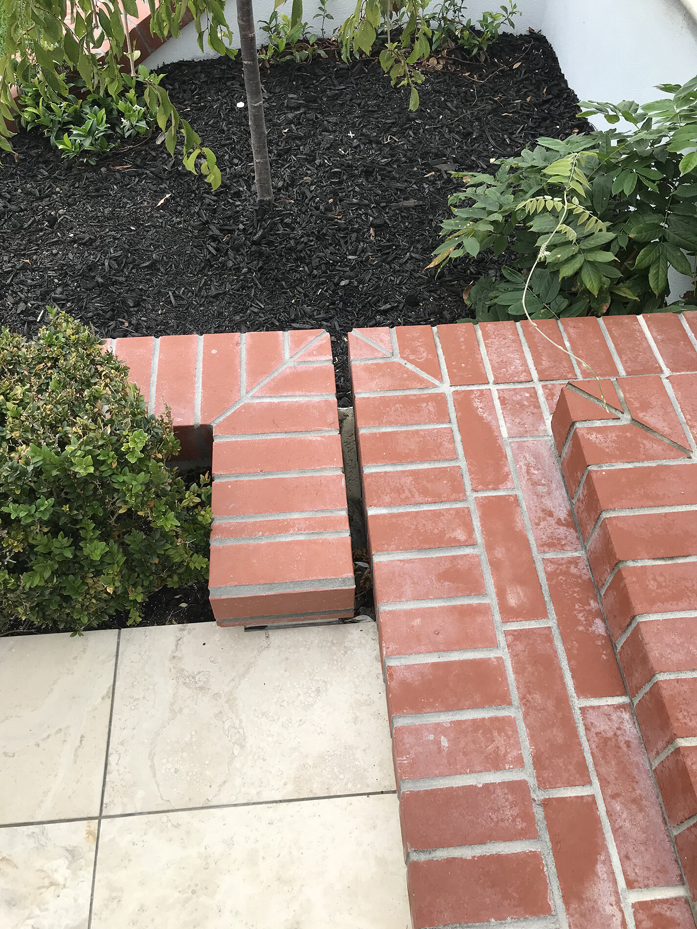 English Rose: Remuera Stone Garden