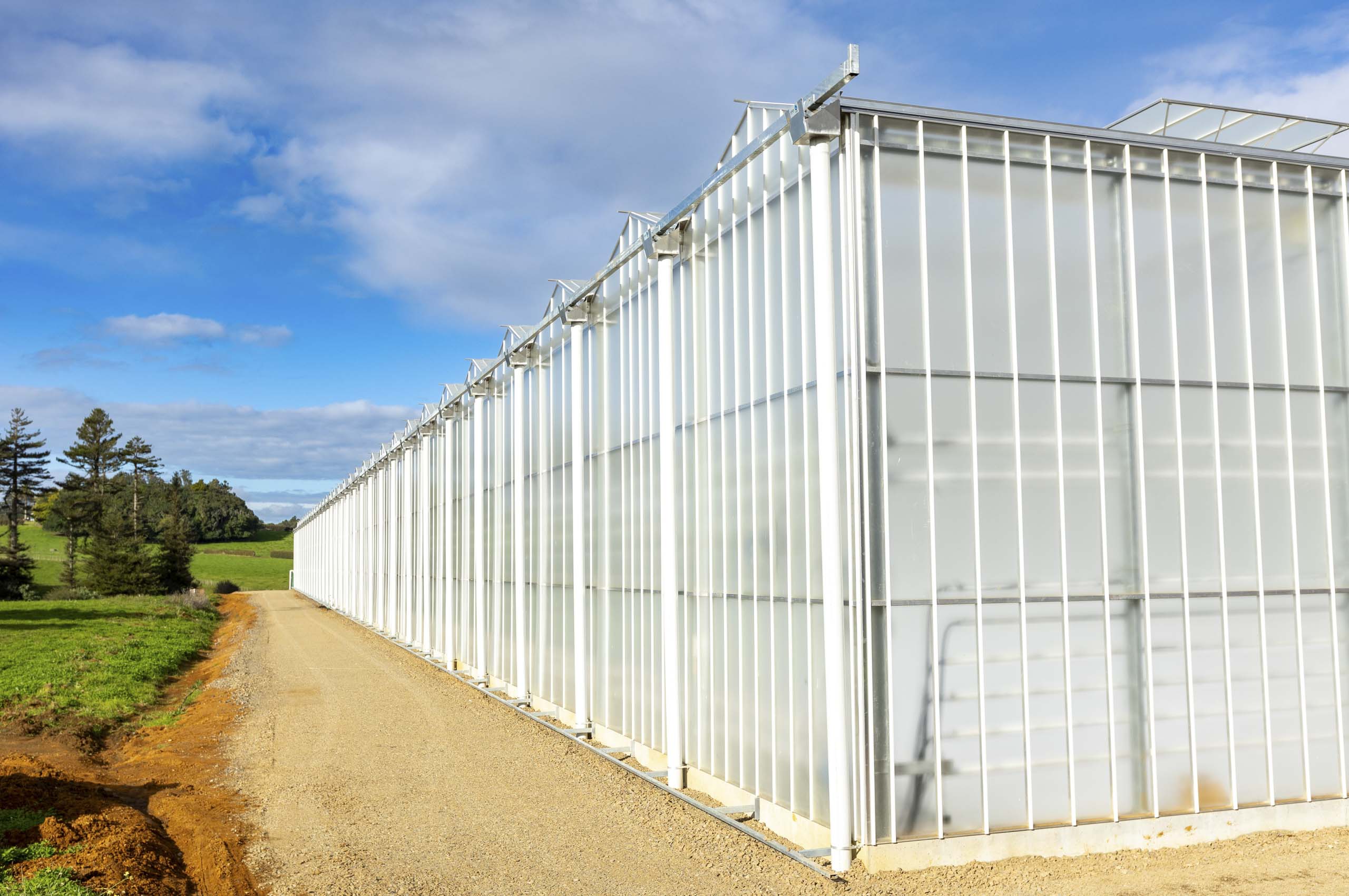 Aka Aka Produce Glass Greenhouse Project