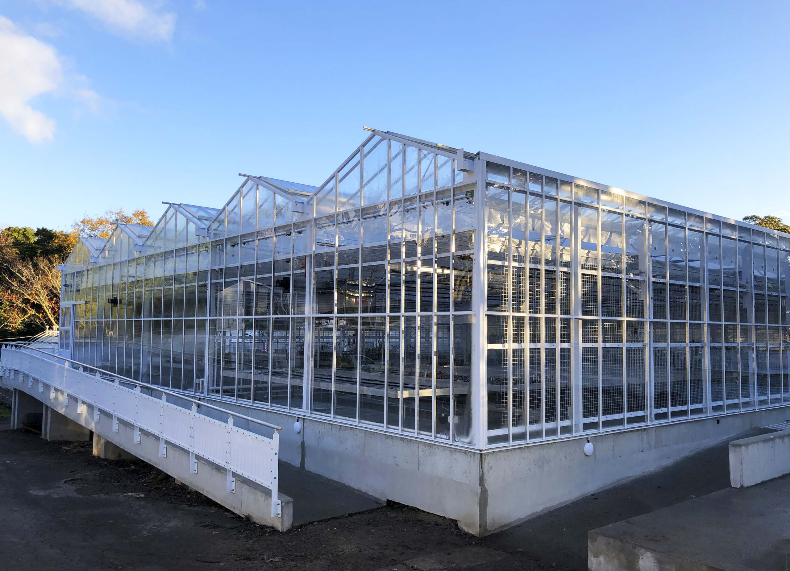 Auckland Botanic Gardens Propagation Greenhouse
