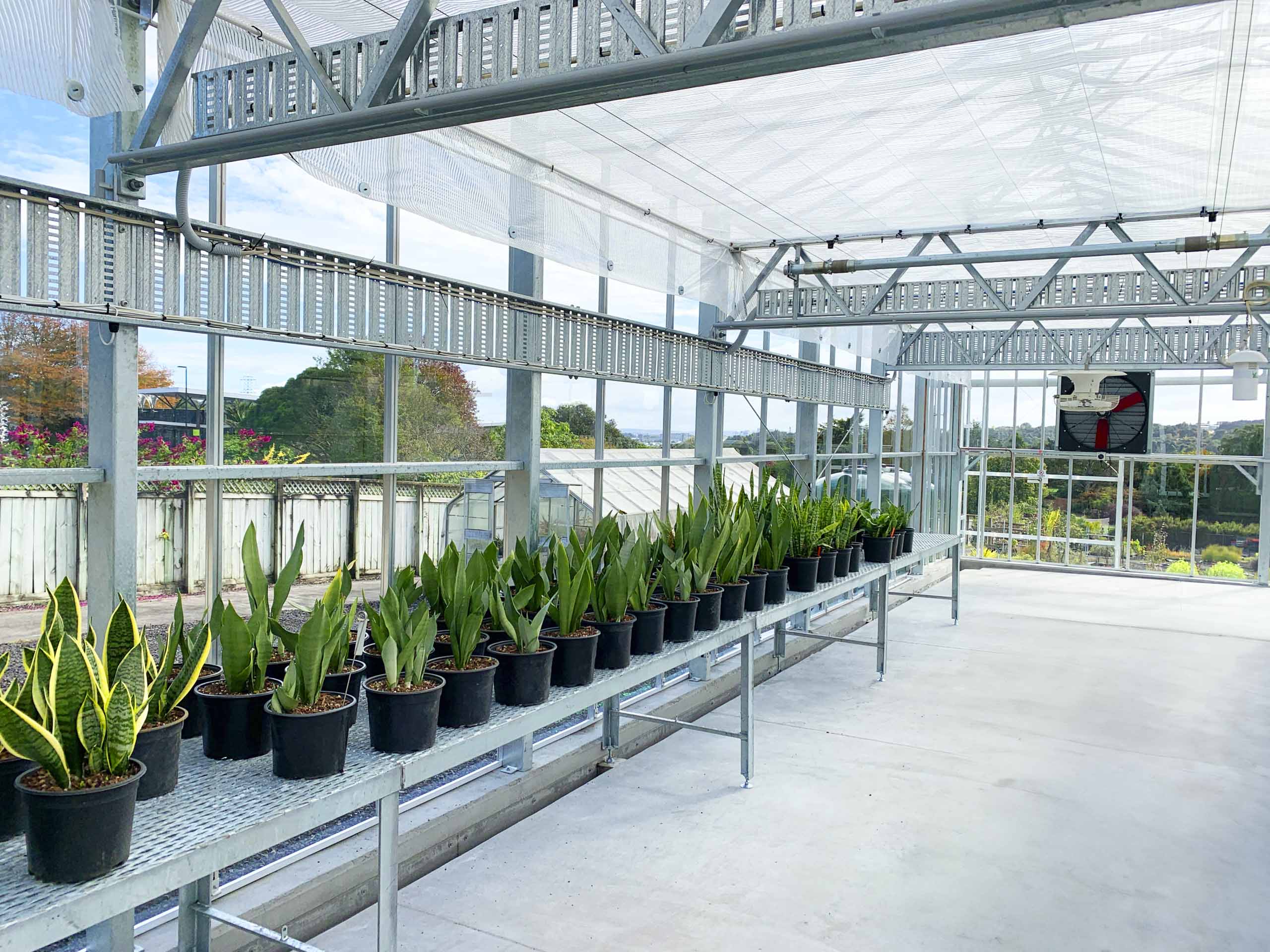 Auckland Botanic Gardens Propagation Greenhouse