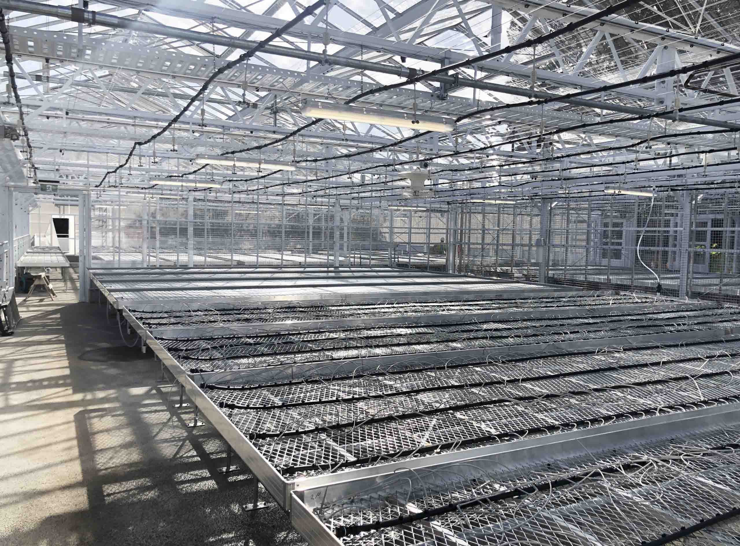 Auckland Botanic Gardens Propagation Greenhouse
