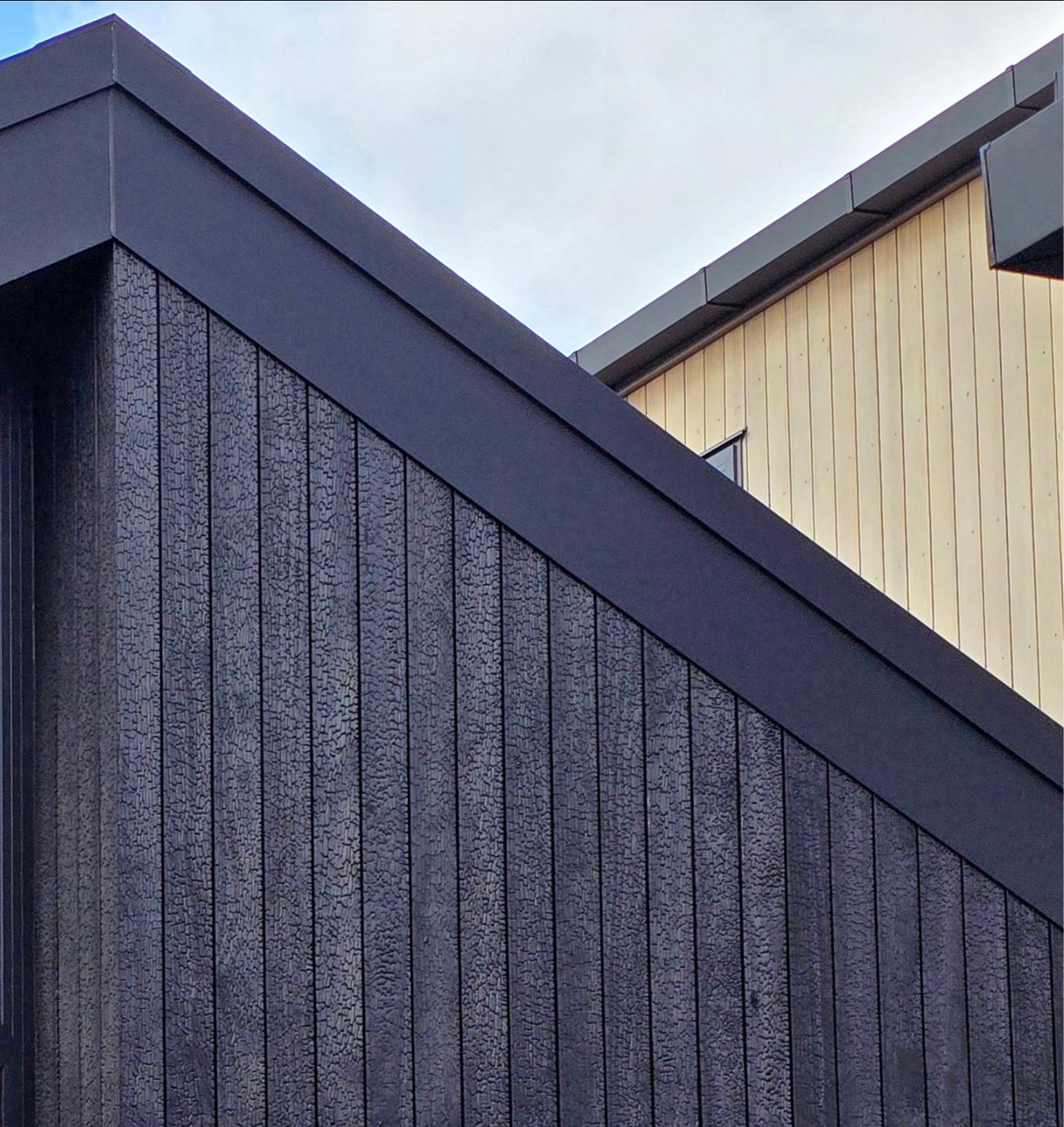 Auckland North Shore Residence: Charred Finish with Accoya Exterior