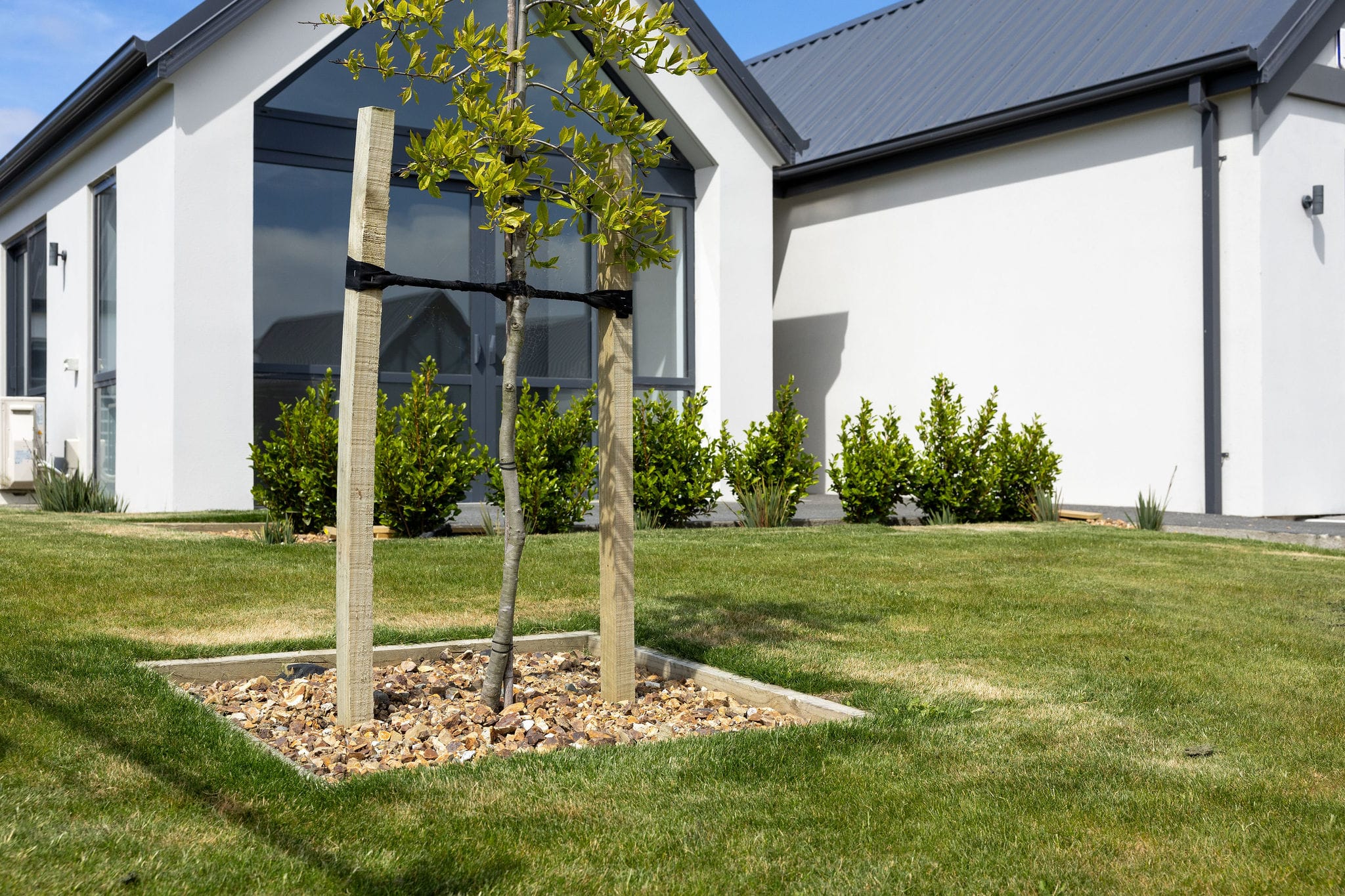 Spring Grove Lifestyle Village Landscape Development Project