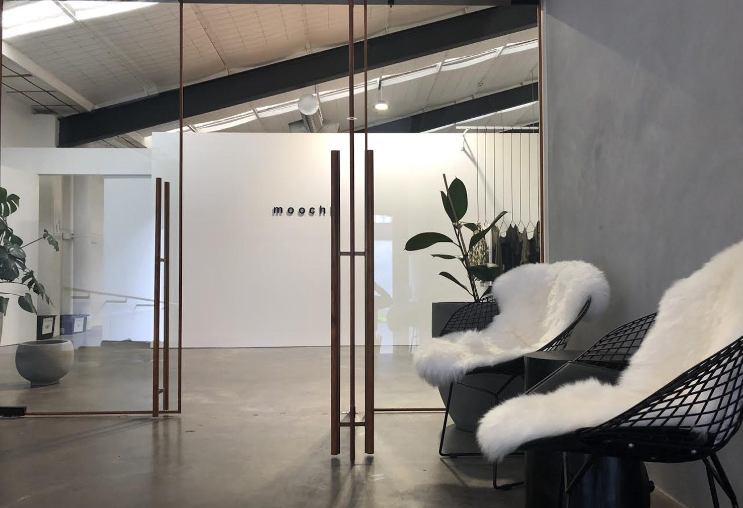 Grey Lynn Office Fitout