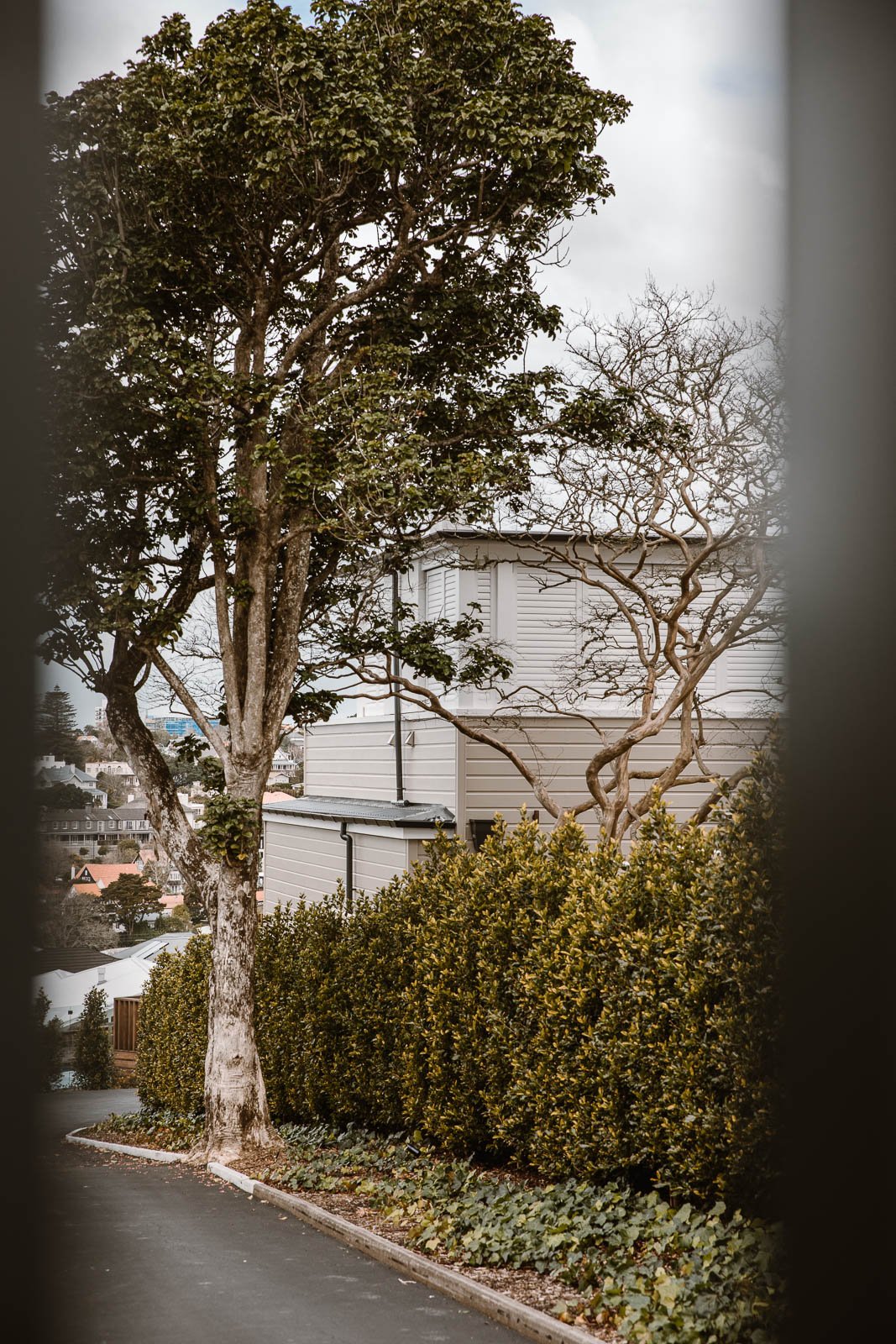 Remuera Garage with Outdoor Kitchen Extension