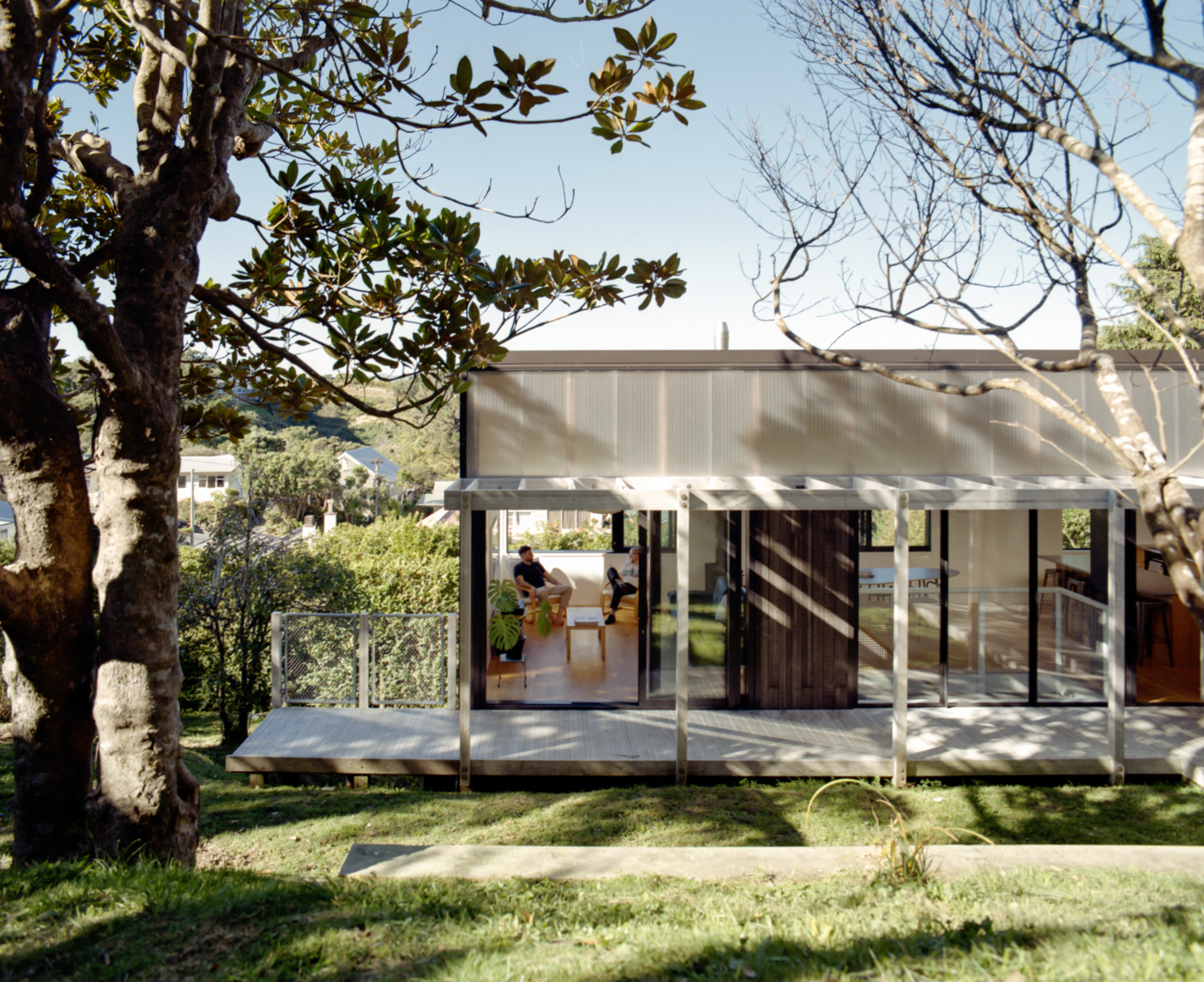 惠灵顿 Hoggard House 新建住宅