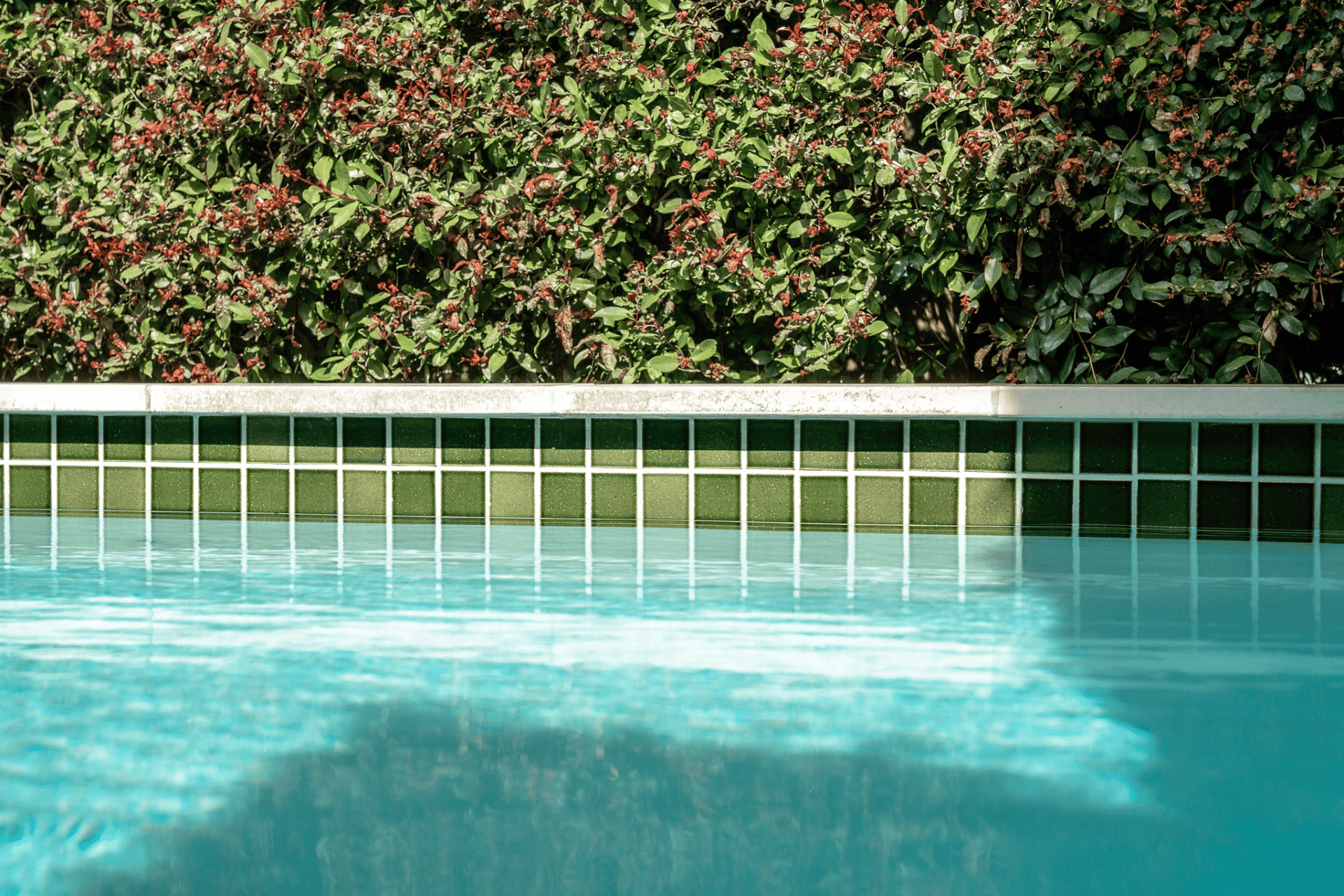 Remuera Residential New Deck and Pool Renovation