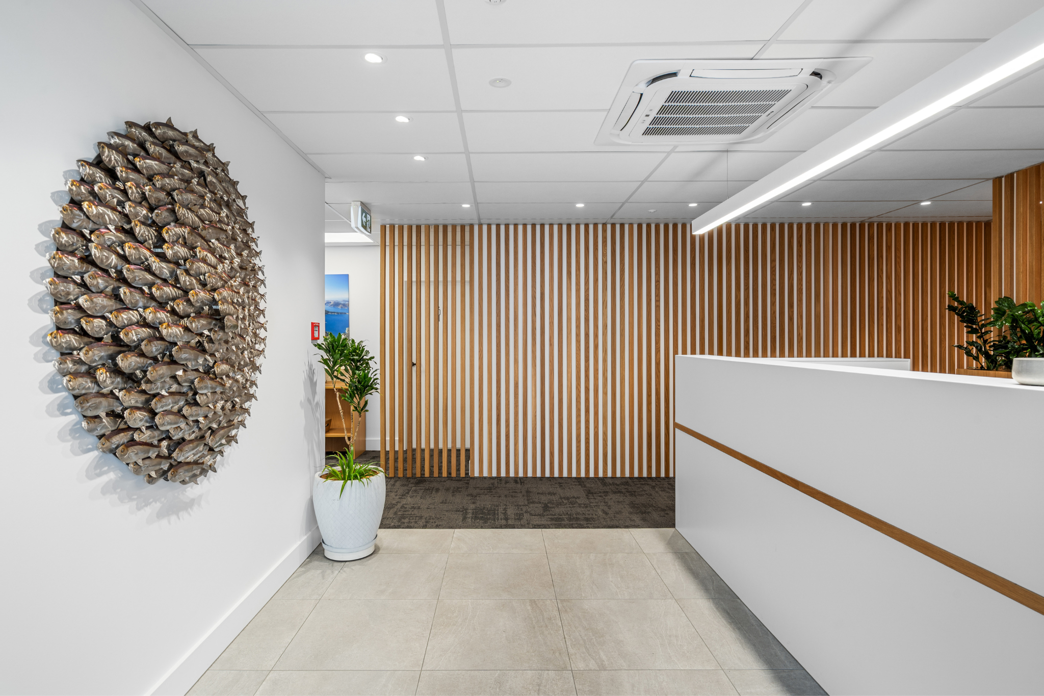 Nelson Tasman Headquarters Office Renovation
