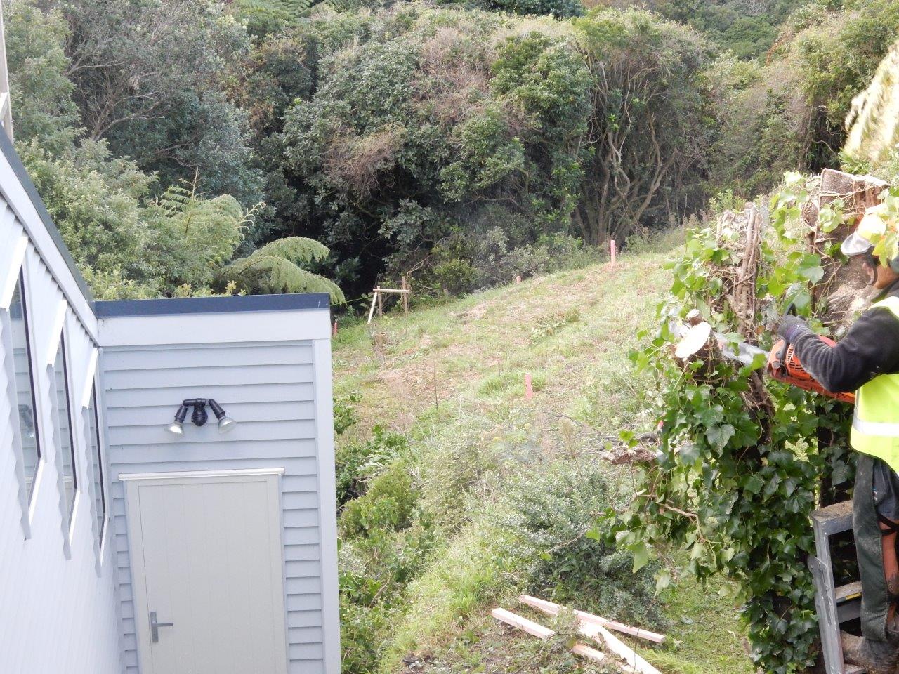 New home on steep Wellington slope