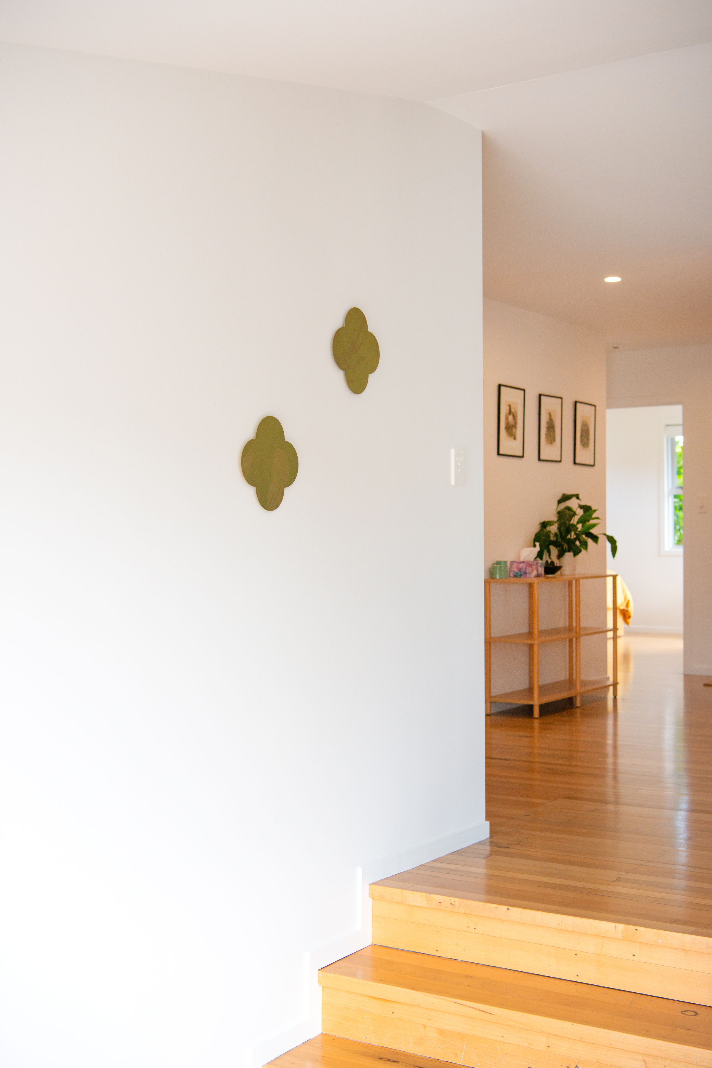 Avondale Residential Renovation and Extension