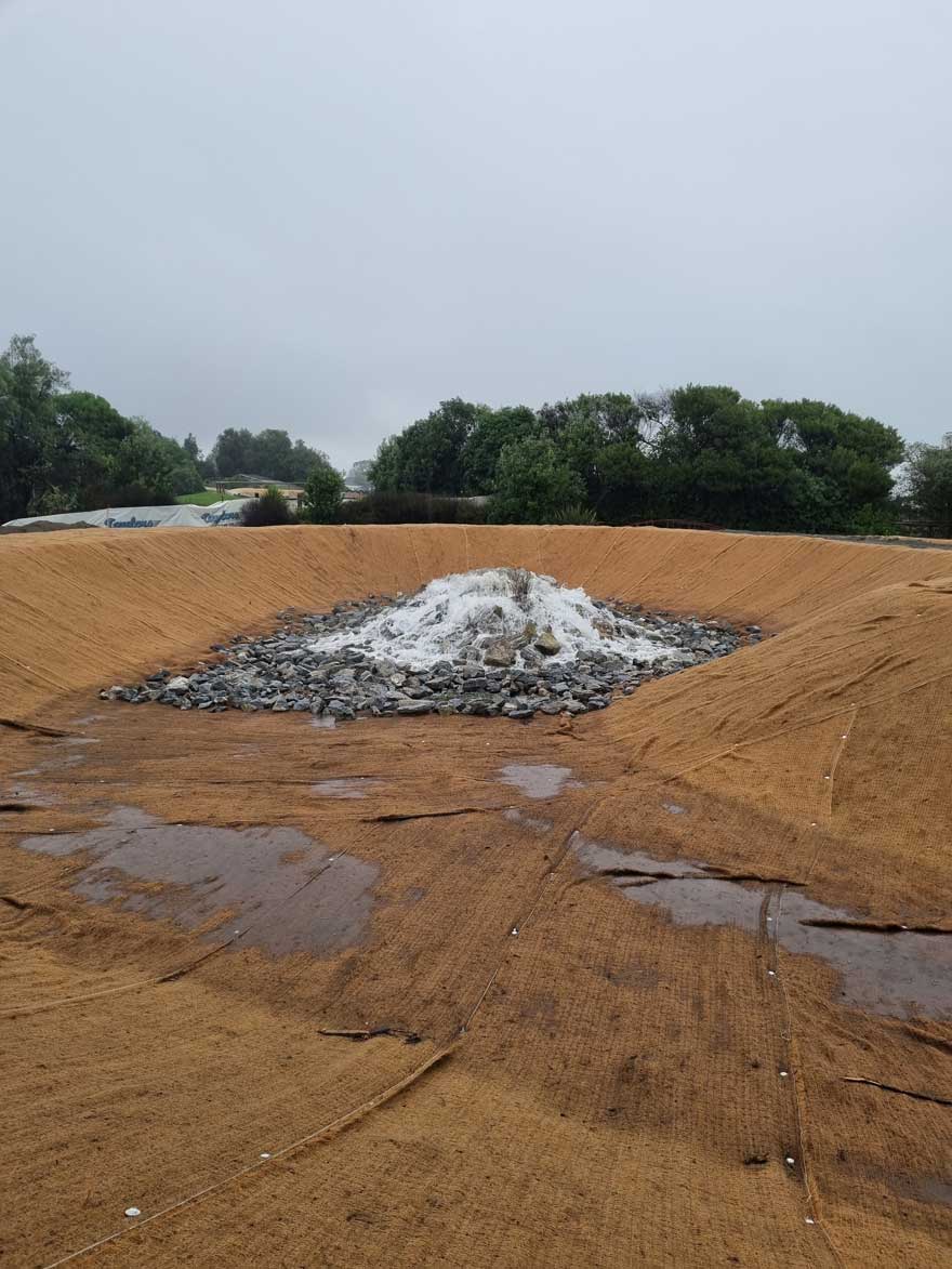 Te Pā Harakeke Wetland Restoration Project