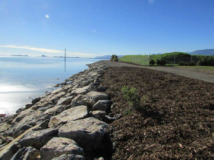 Richmond Resource Centre Coastal Protection Works