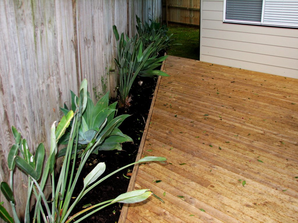 Warriewood Granny Flat Project: A Solution to Work Around a Tree and Avoid Pipes