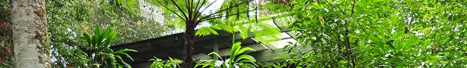 Dự án quy hoạch mở rộng Crystal Creek Rainforest Retreat
