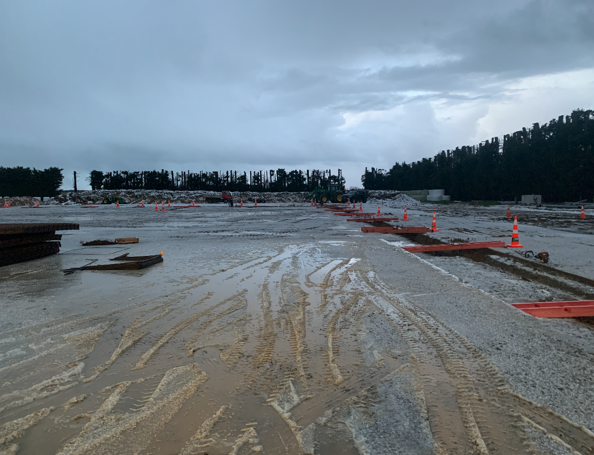 Horizon Flowers Flower Processing Factory Expansion Project