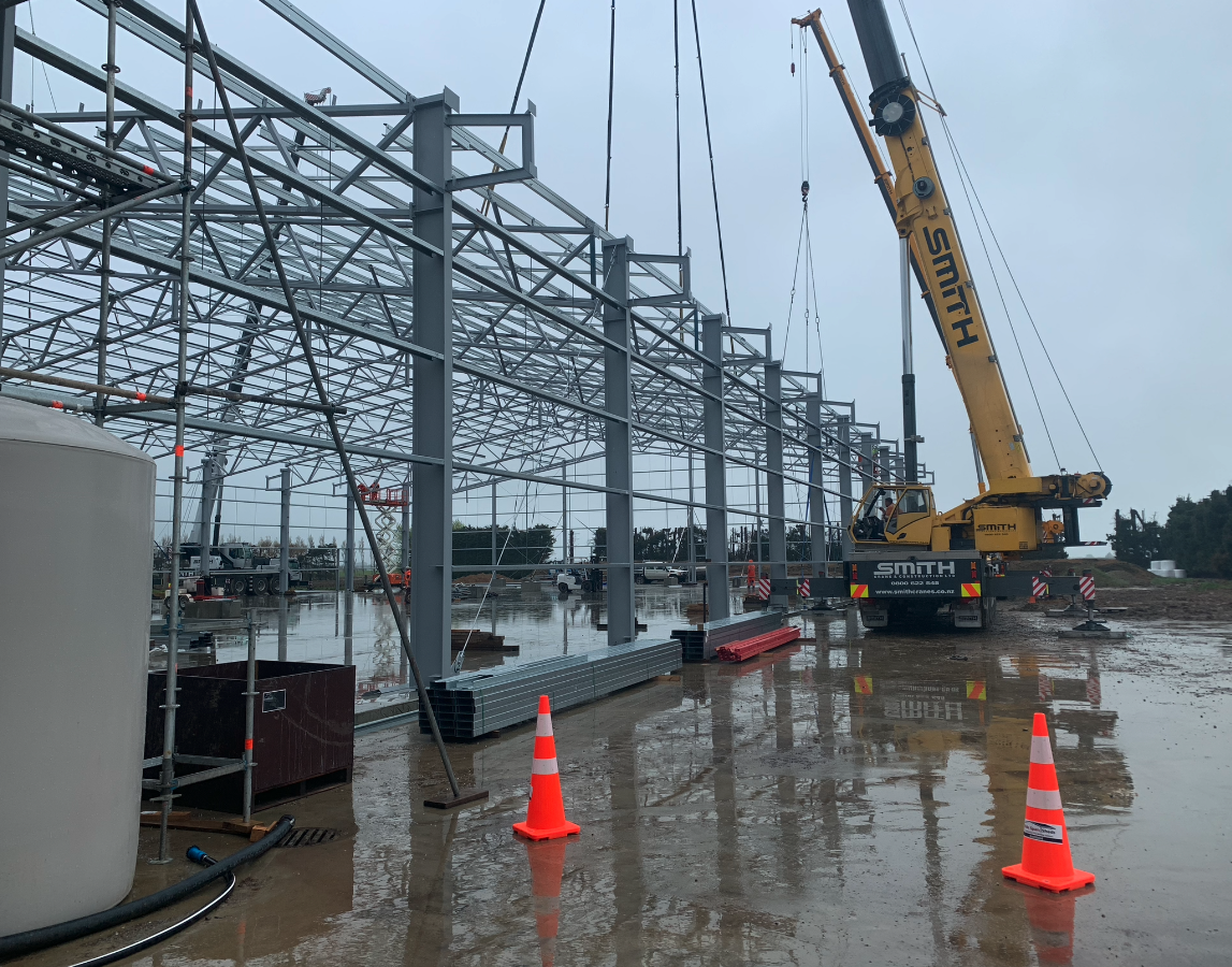 Horizon Flowers Flower Processing Factory Expansion Project
