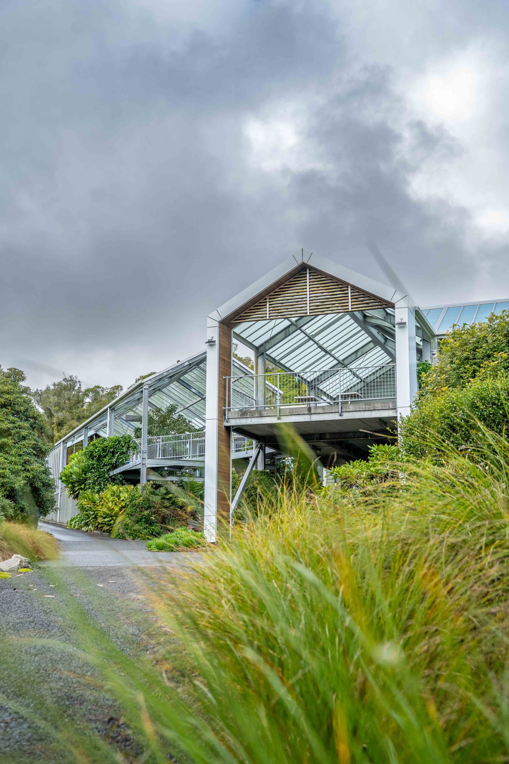 Pukeiti Rainforest Centre Visitor Facilities Renovation