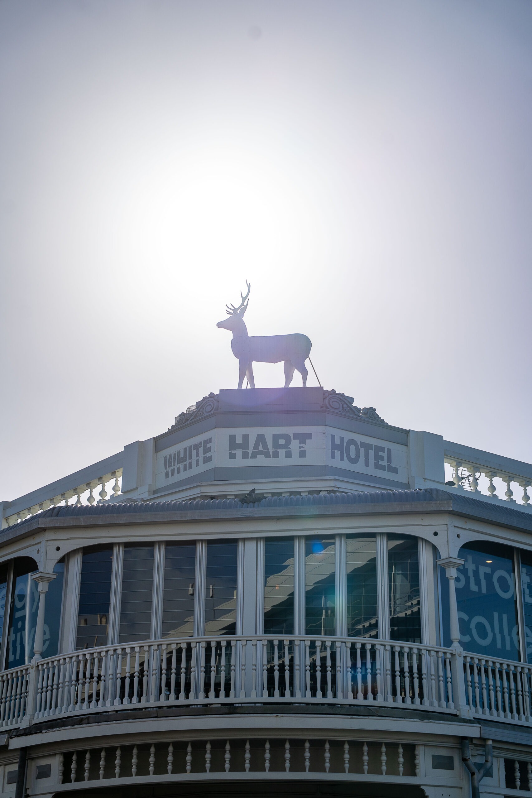 White Hart Hotel Historical Building Restoration in New Plymouth