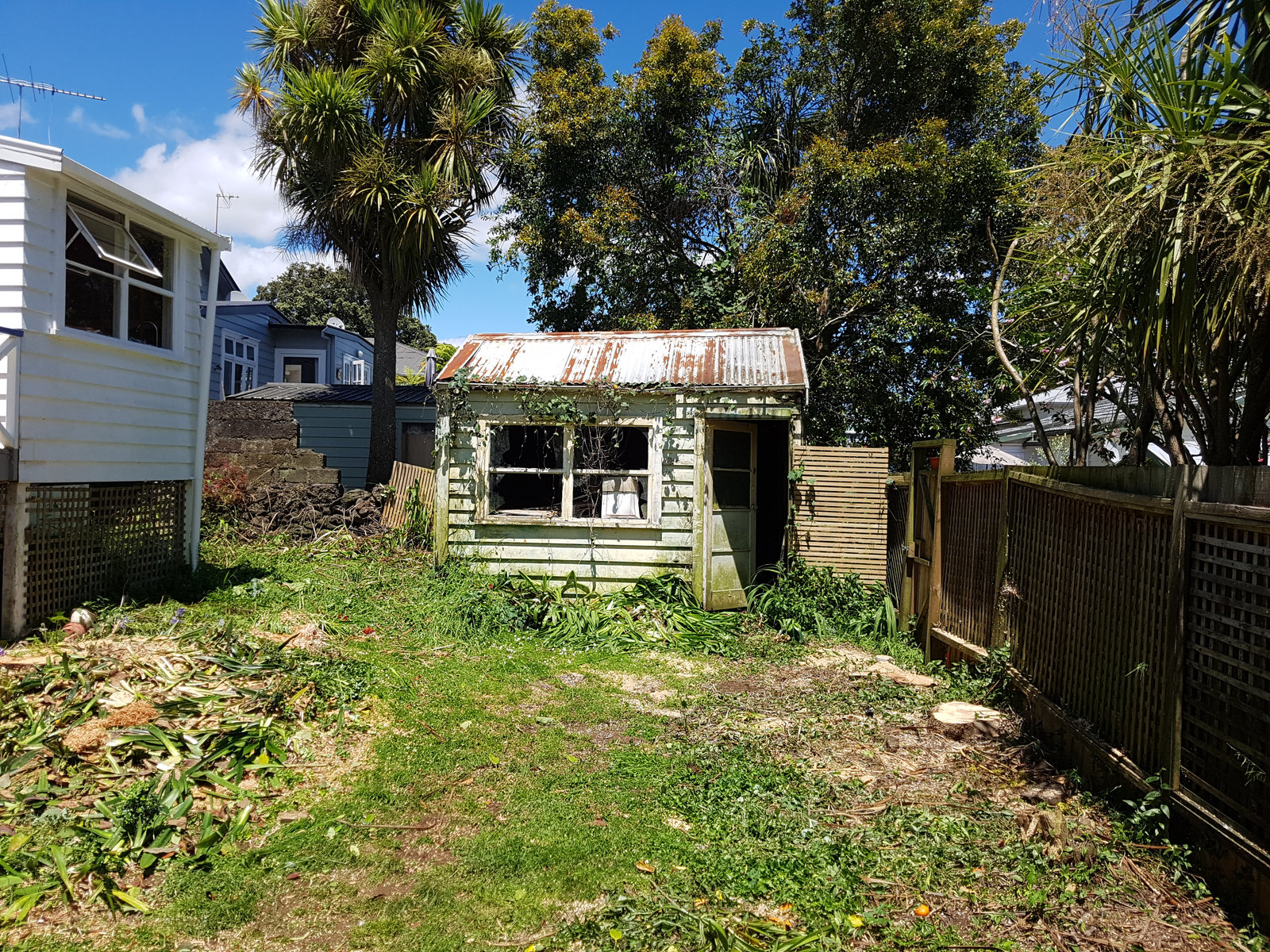 Mt Eden 经典别墅扩建翻新