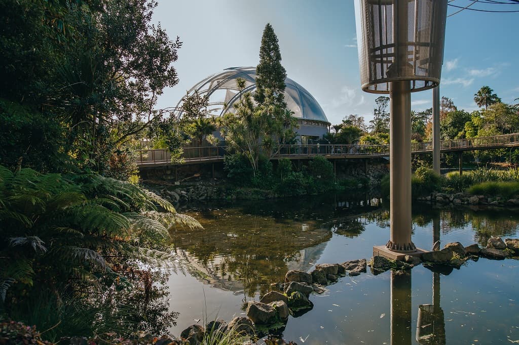 Auckland Zoo Southeast Asia Precinct Renovation Project