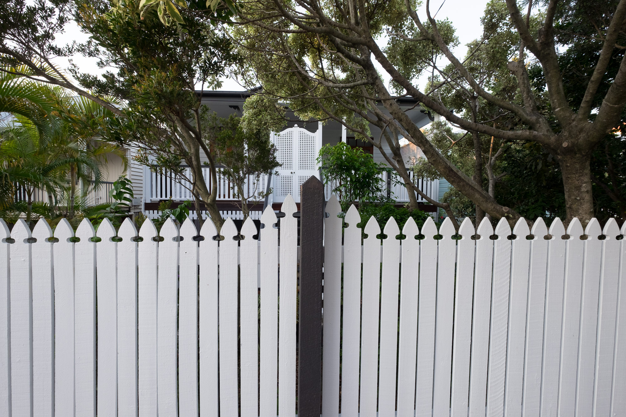 East Brisbane Queenslander House Renovation