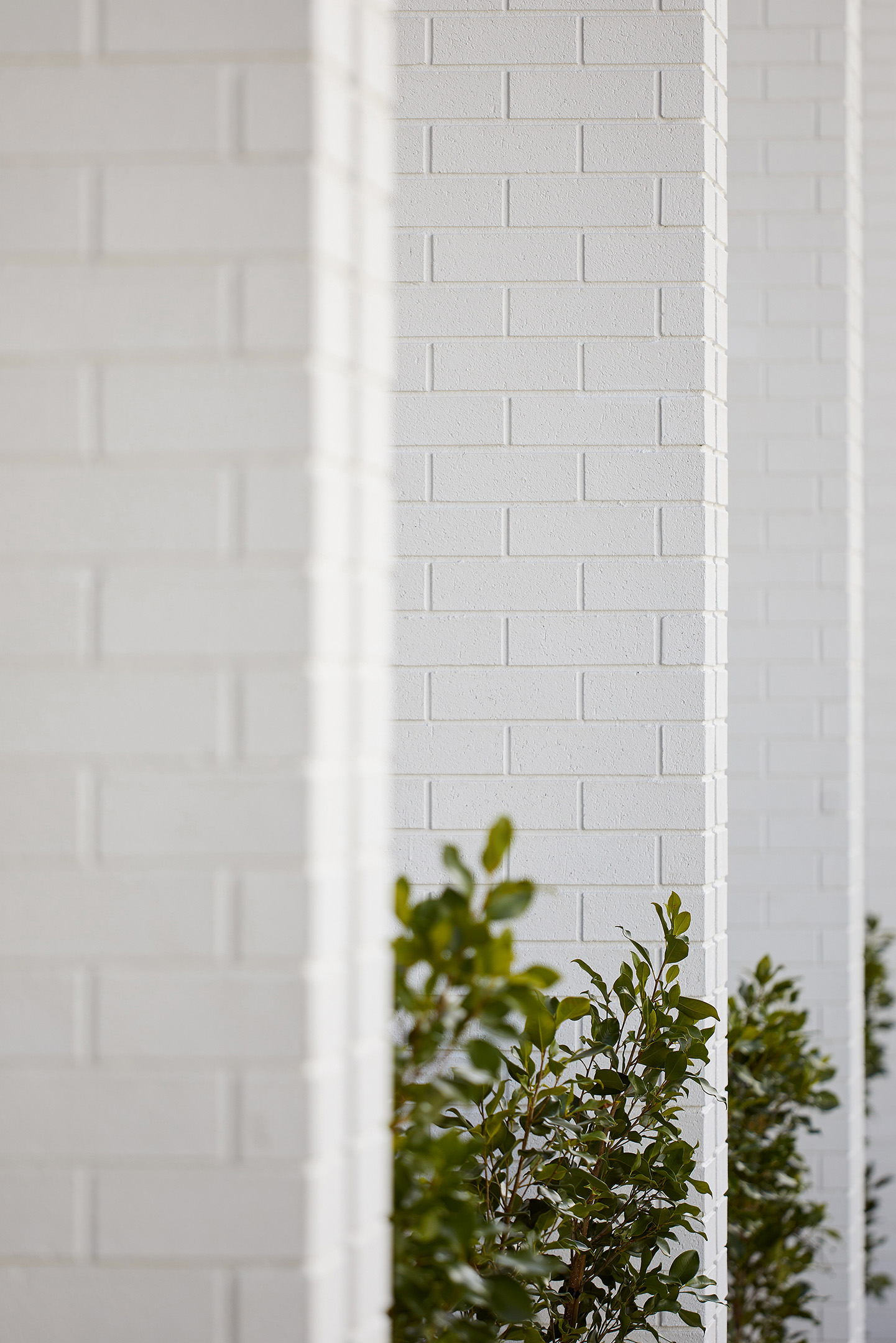 Huia Townhouse Project