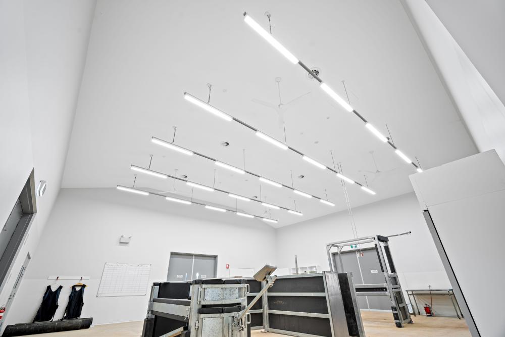 Howard Springs Veterinary Clinic Project