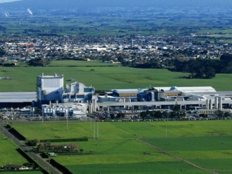 Fonterra Whareroa Dairy Factory Construction