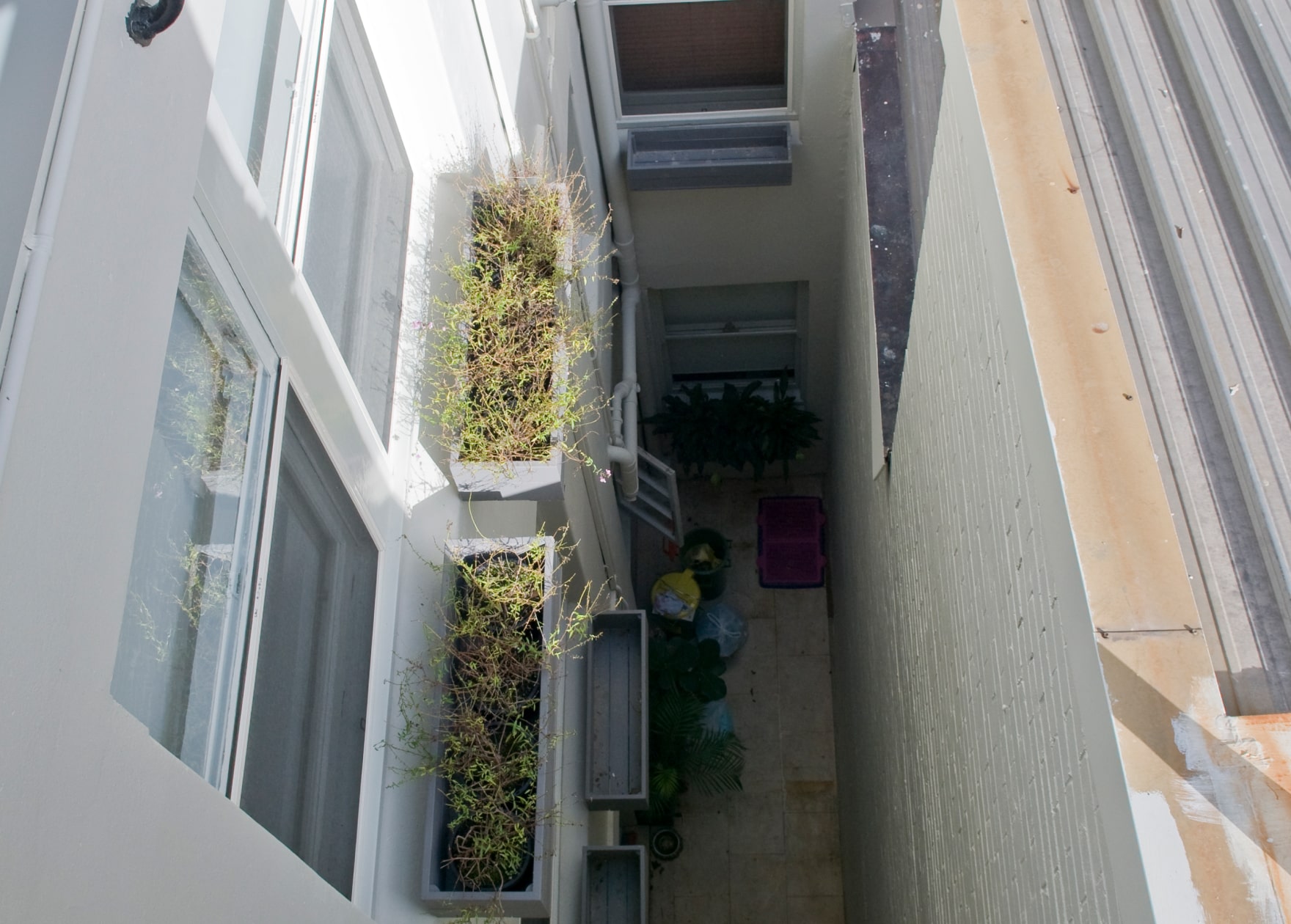 Dự Án Phục Hồi Toàn Diện Tòa Nhà Chung Cư Darlinghurst