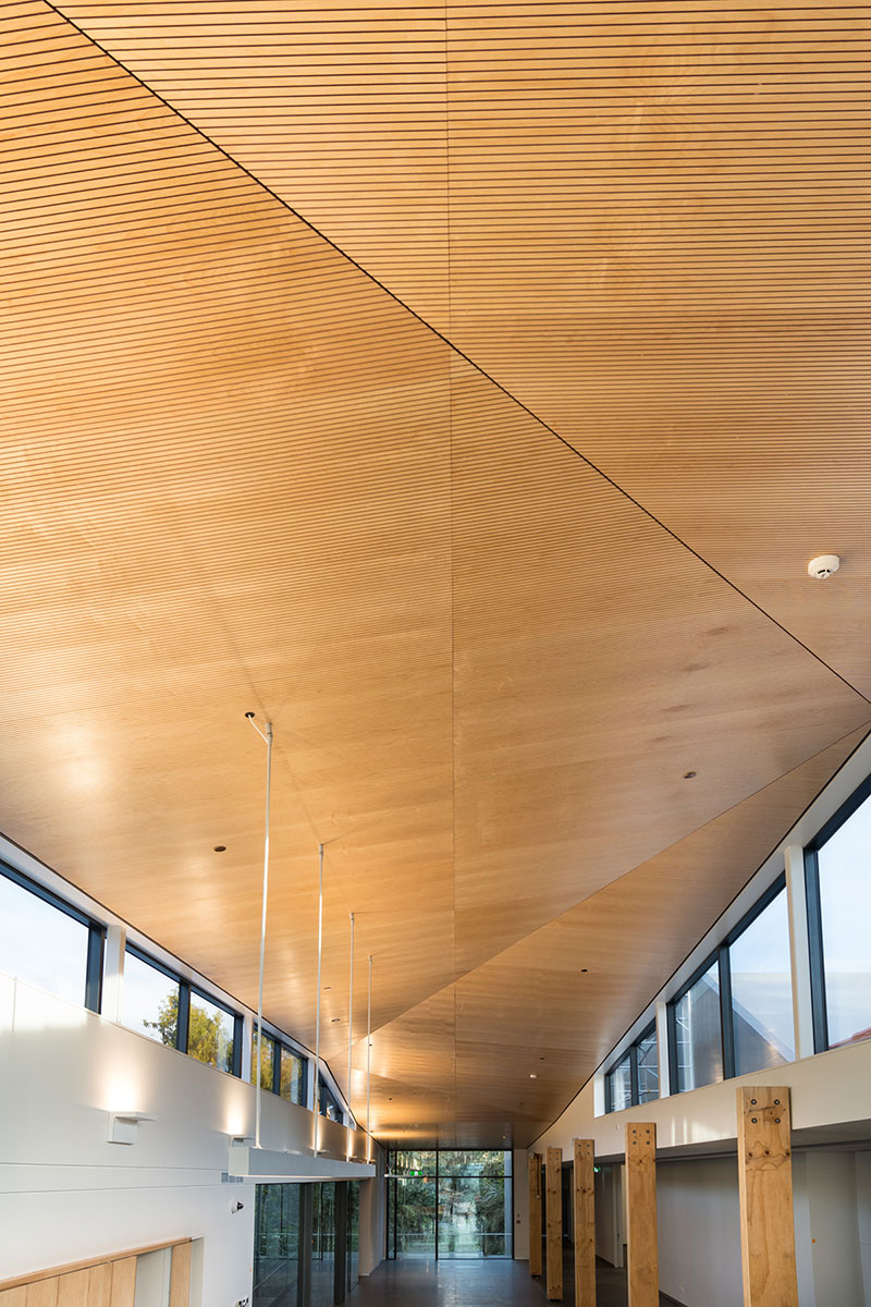 Nelson Atkins Museum of Art Renovation Project