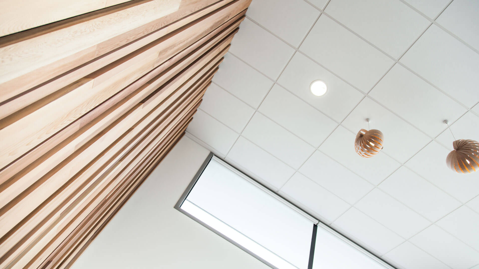 Cawthron Institute Interior Fit-Out Project in Nelson