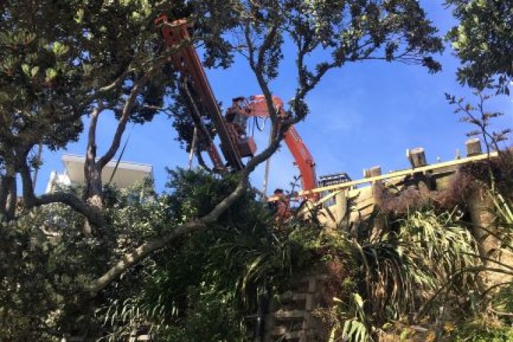 Auckland Coastal Landslide Emergency Stabilisation Works