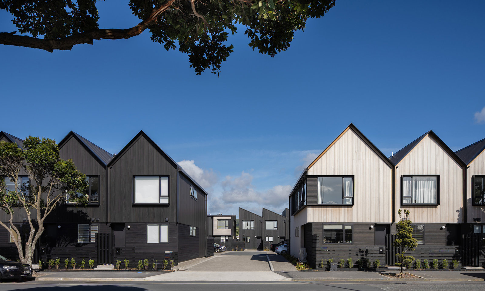 Petone Waterfront 32 Townvillas Development