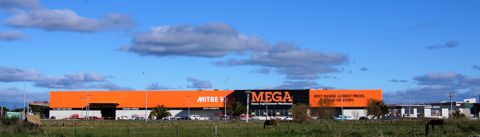 Napier Mitre 10 Mega 建材超市