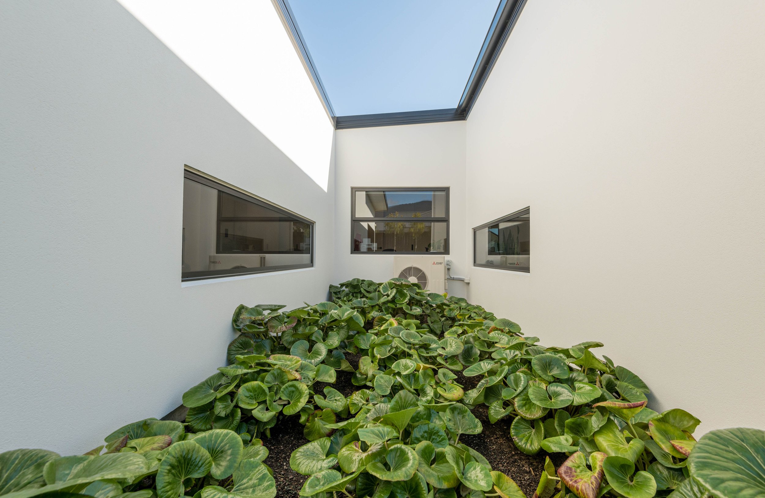 Daelyn Project: Richmond New Residential