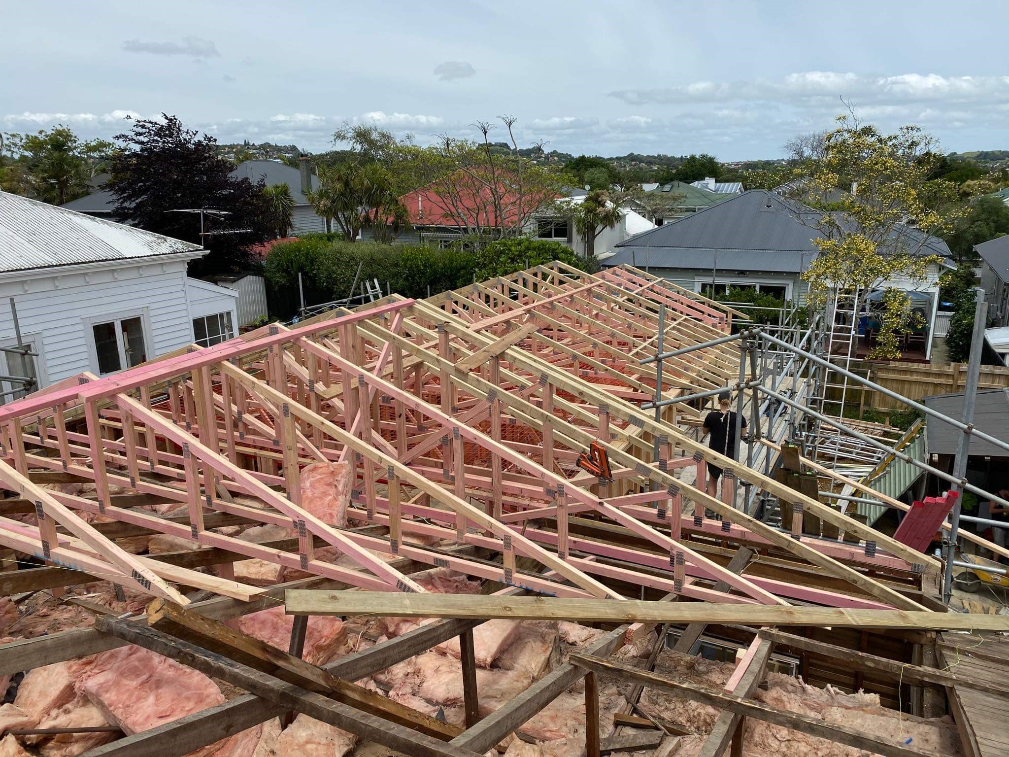 Mt Eden Whole House Renovation