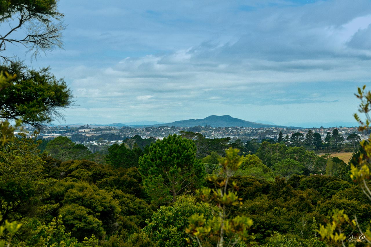 Paremoremo Steep Slope Jungle Site New Residential