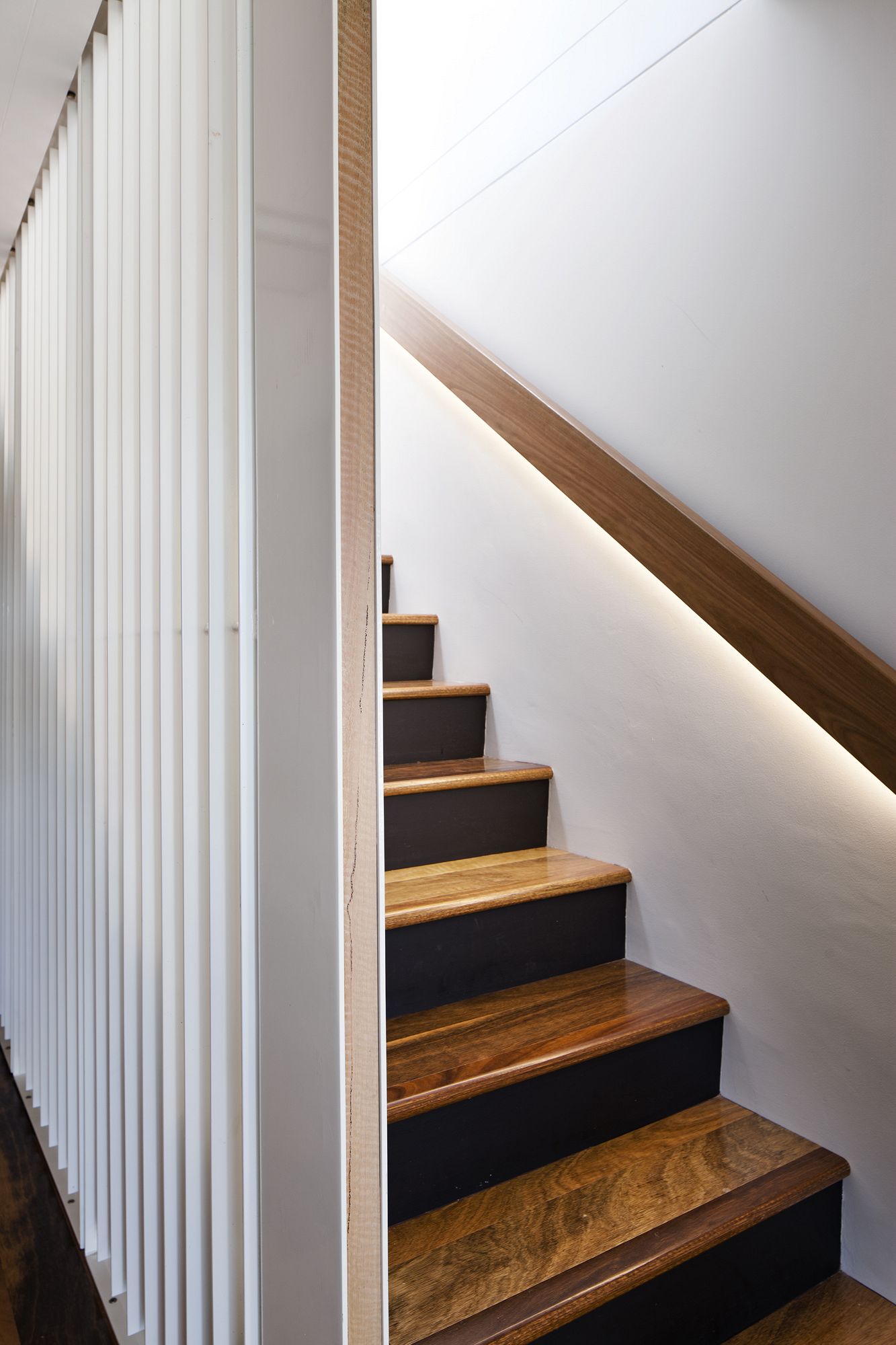 Neutral Bay Apartment Interior Renovation