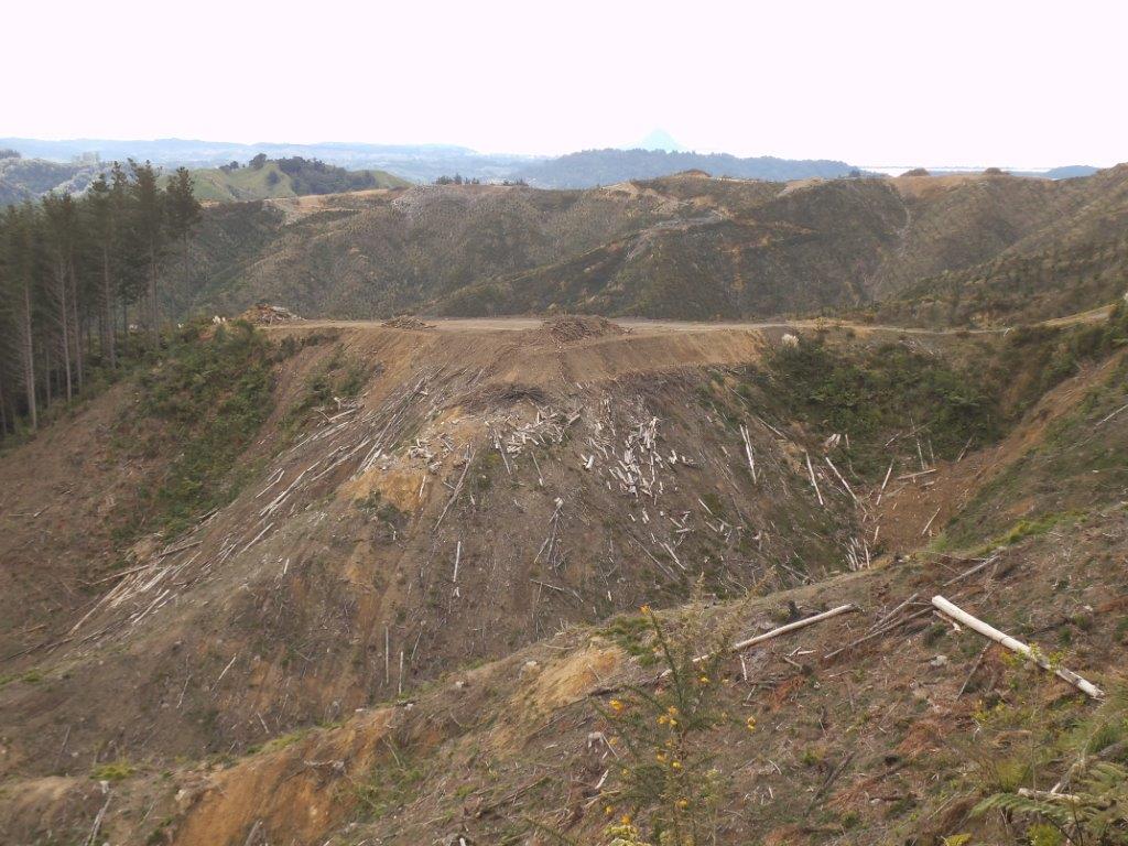 Glenholme滑道场地重建与修复