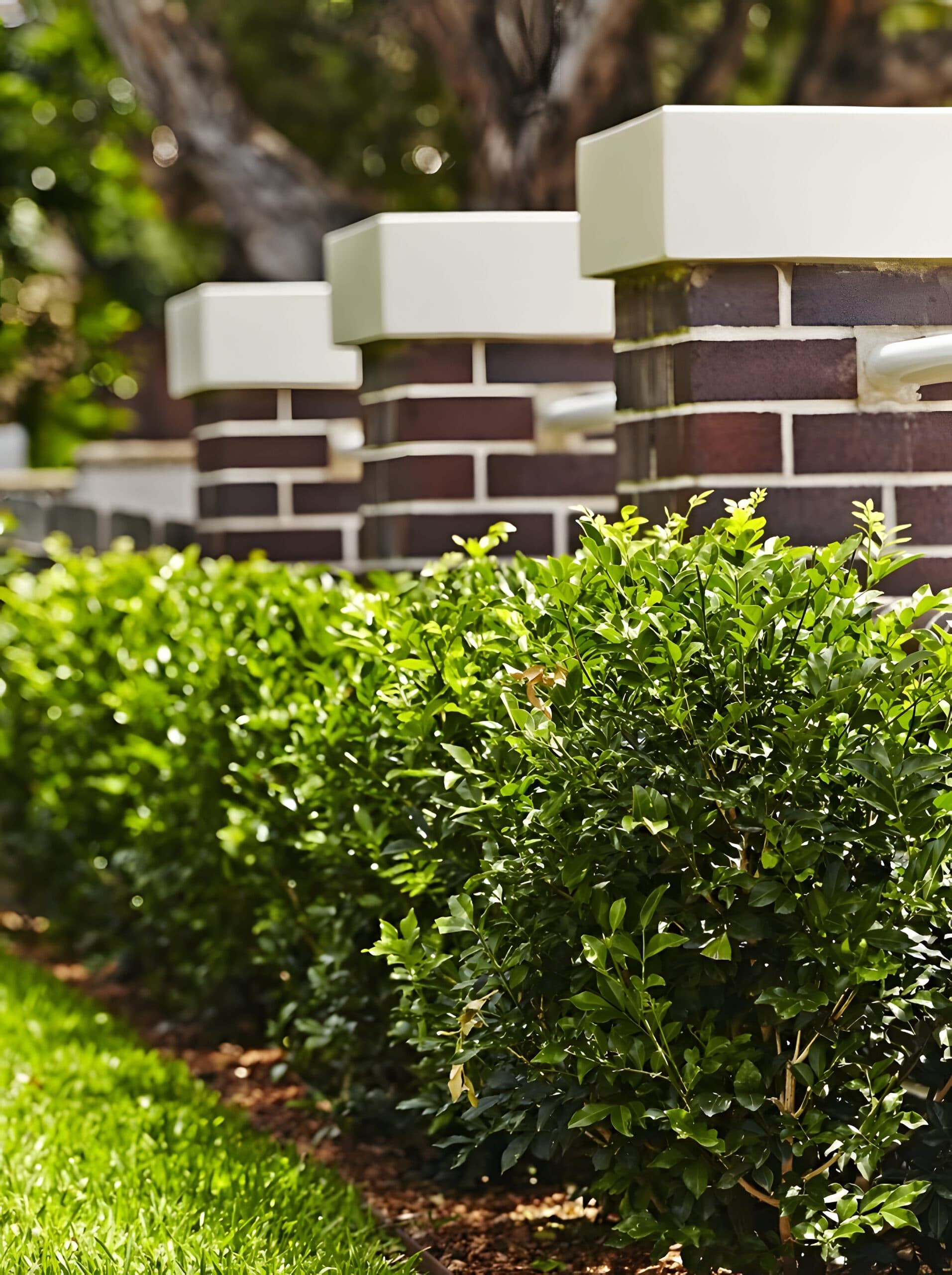 Kensington Traditional Style Front Yard Renovation
