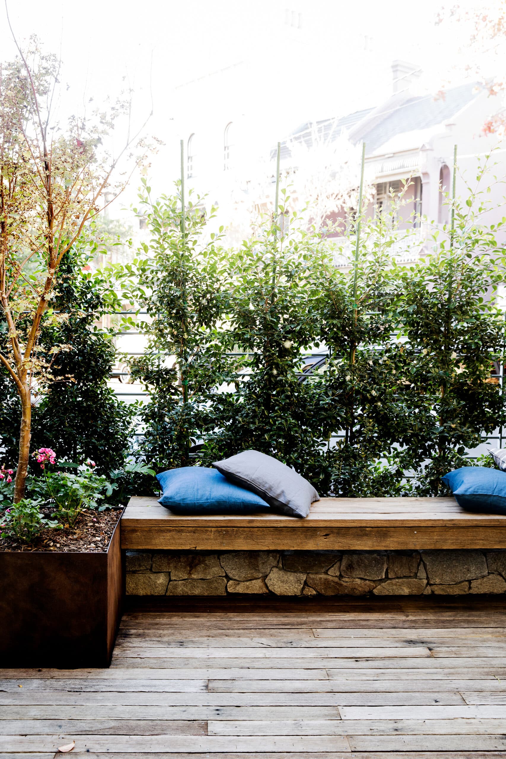 Paddington Residence: Indoor-Outdoor Integrated Renovation