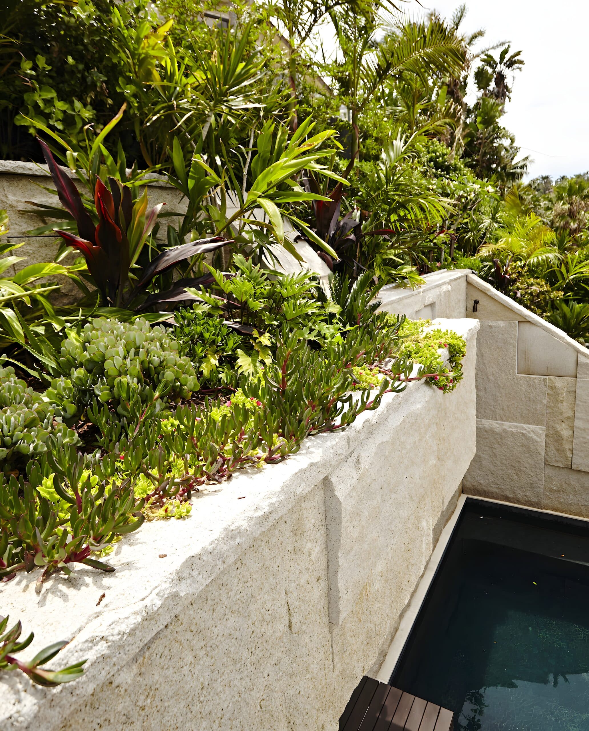 Tamarama Indoor-Outdoor Integrated Courtyard and Pool Design