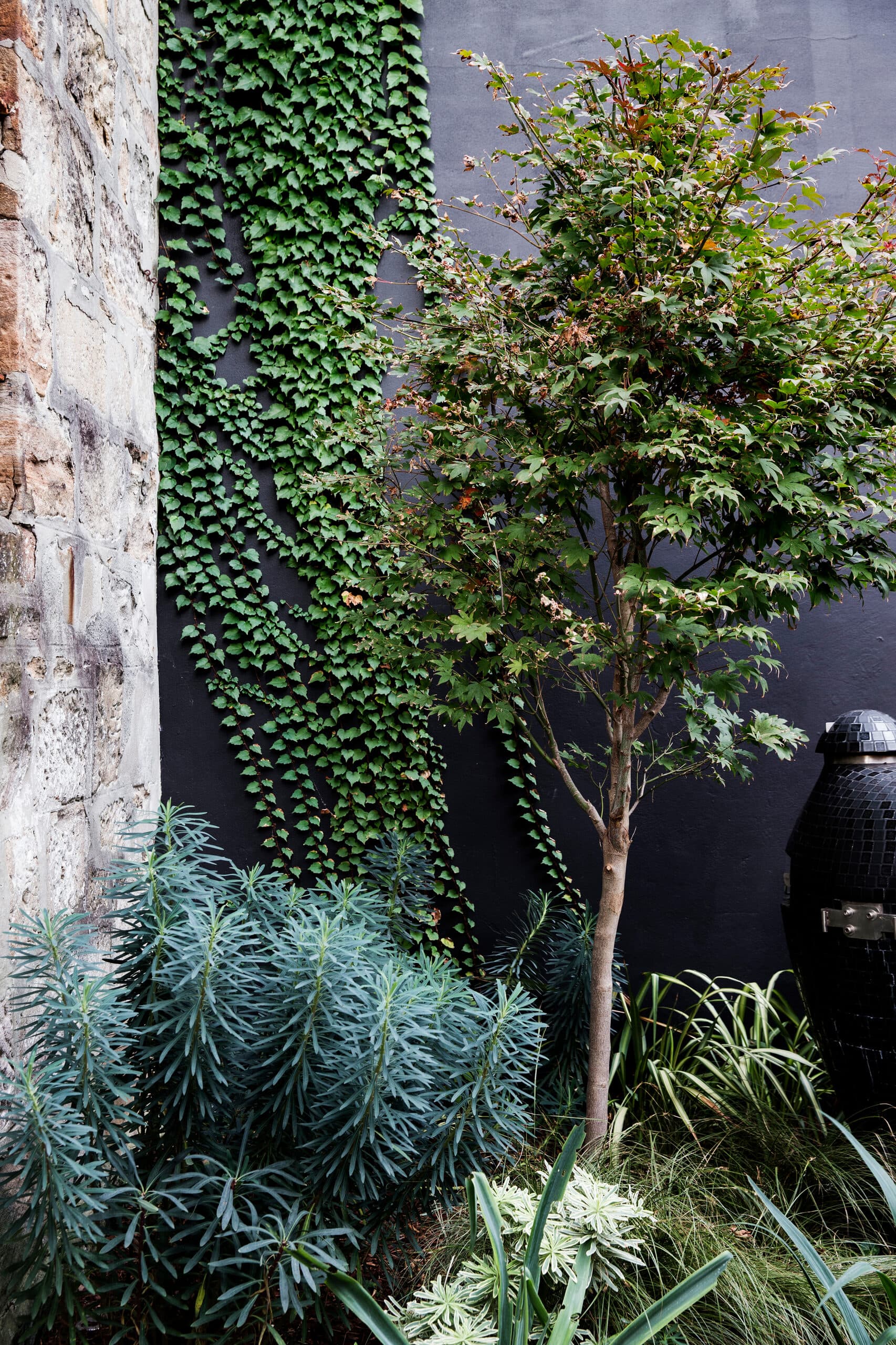 Surry Hills Classic and Modern Fusion Garden