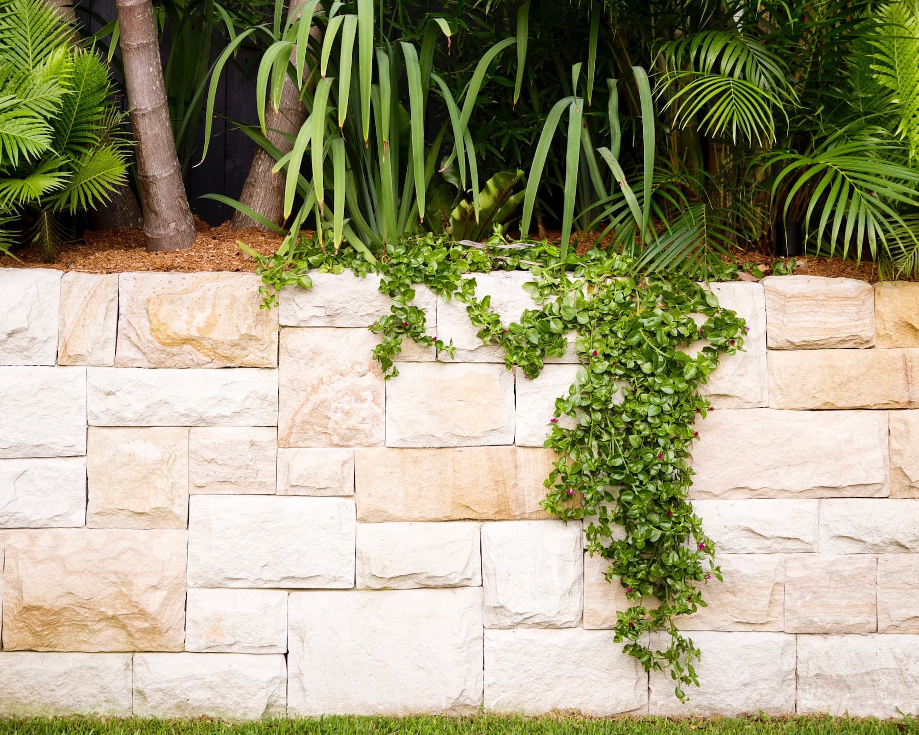 Dự án thiết kế vườn và hồ bơi Bondi