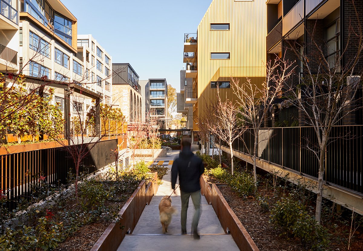 Kingsborough Integrated Community Project