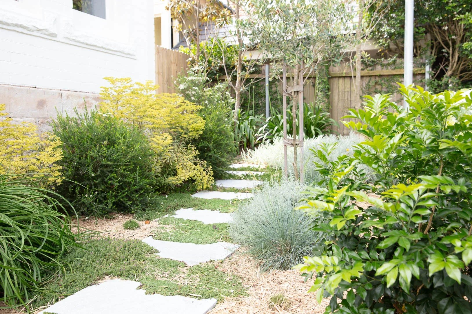 Mosman House 老宅新篇改造
