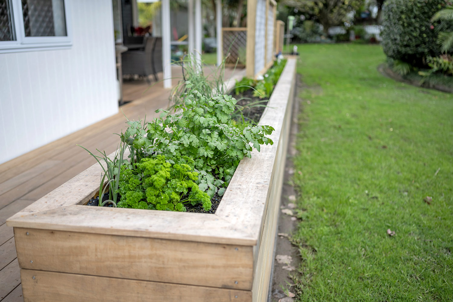 Beachlands Residential Extension and Renovation